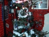 dsc_0169.jpg